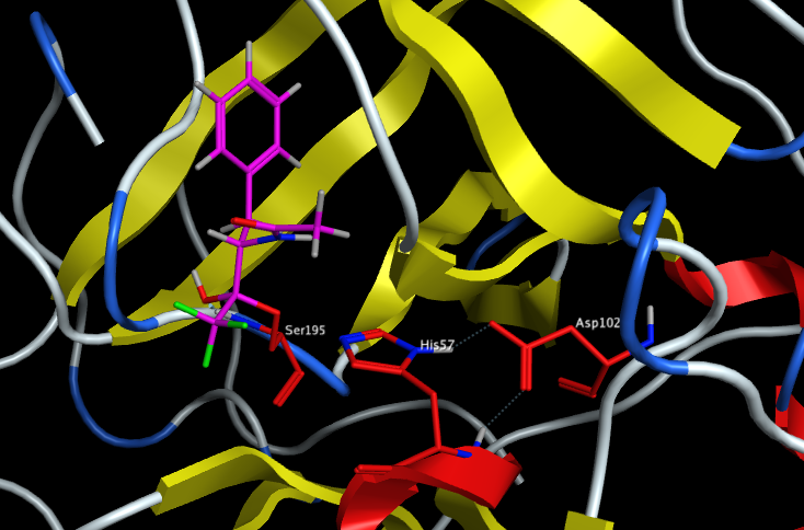 ser_prot_triad