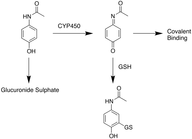 actaminophen