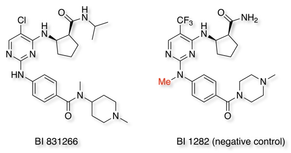 BIcompounds