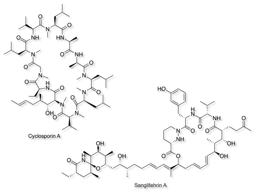 CsA_SanglifehrinA