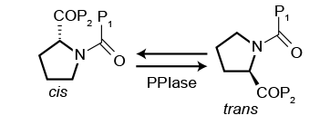 PPIase