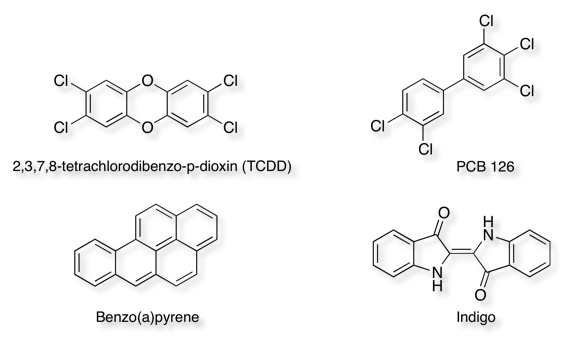 AhR_inducers