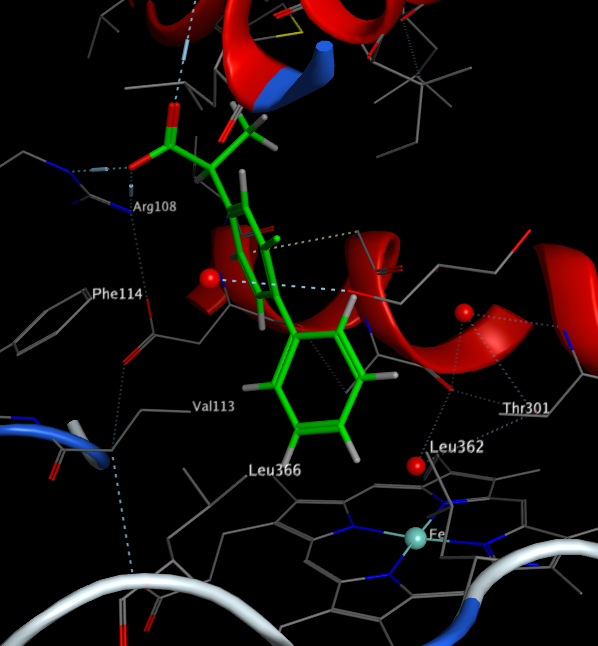 CYP2C9activeSite