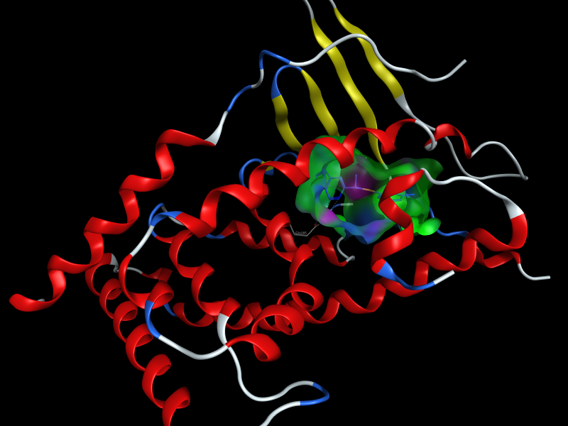 ligandProtein