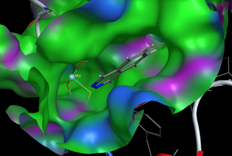 AOX1activesite