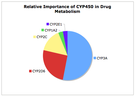 Drug Metabolism Chart