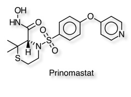 Prinomastat