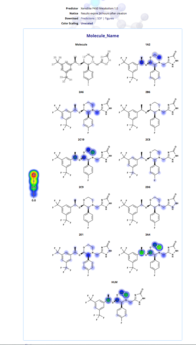 emend_xenosite