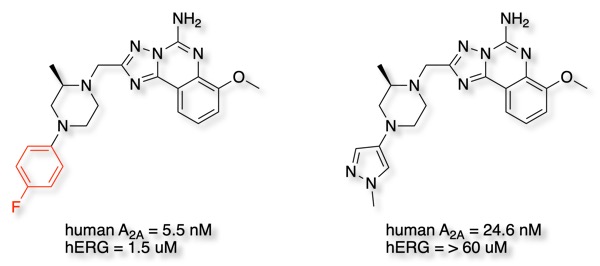 A2Aantagonist