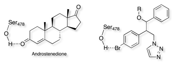 aryl_ketobioisosere