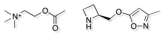 isoxazole_ester_bioisostere