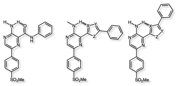 moreAmides