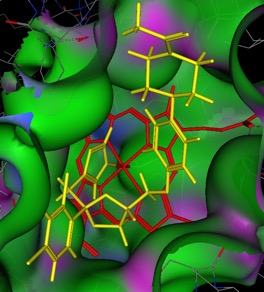 cyp3a4_ketoconazole