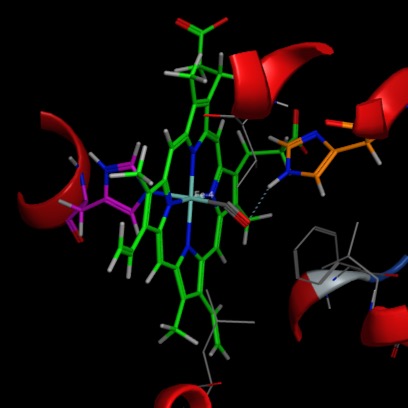 ironHaemoglobin