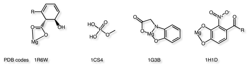 mag_ligands