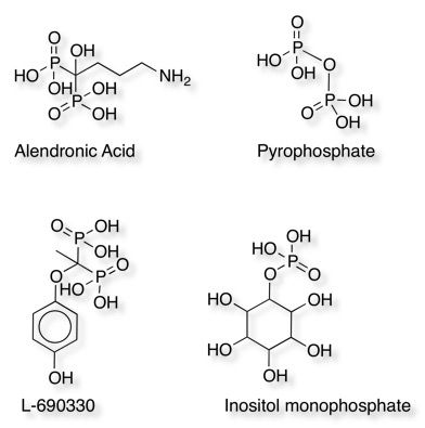 bisphosphonates