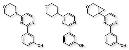 MorpholineReplacement