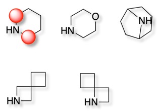 piperidinebioisosteres