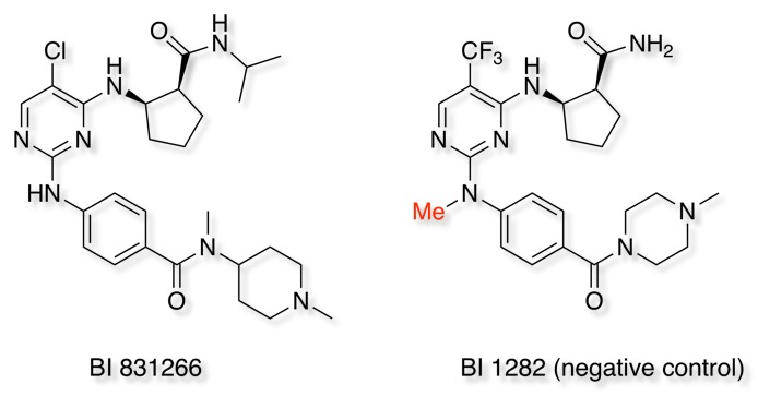 BIcompounds