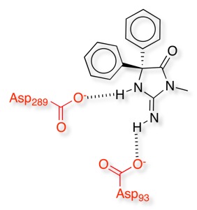 acylamidineBACE