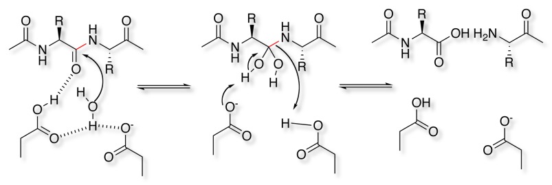 mechanism