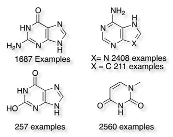 nucleotides