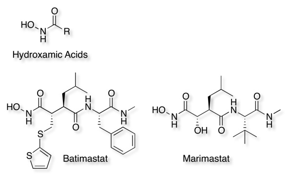 hydrocamic_acids