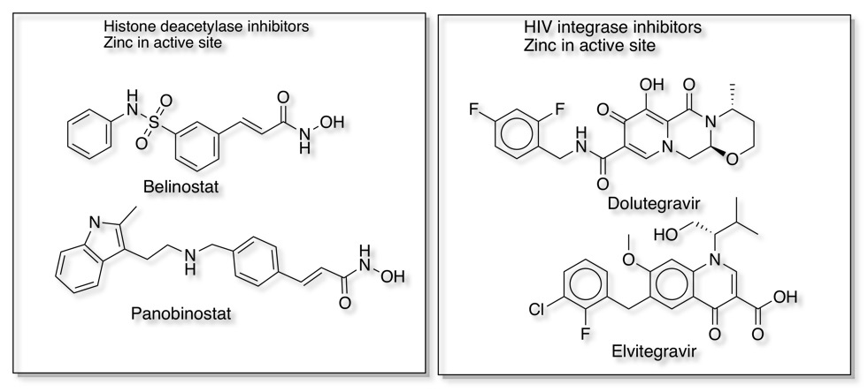 metalloenzymeInhibitors