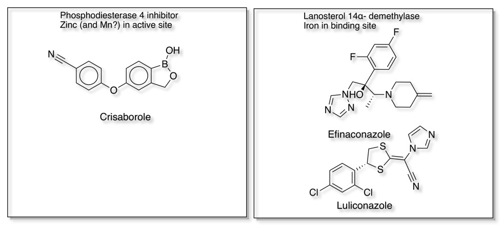 metalloenzymeInhibitors2