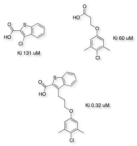 mcl1 linking