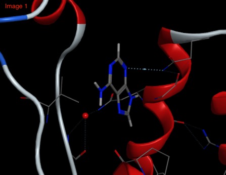 BAZ2B Bromodomain