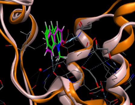 FragsBindingBromodomains