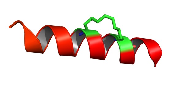 4MZK_stapled_peptide