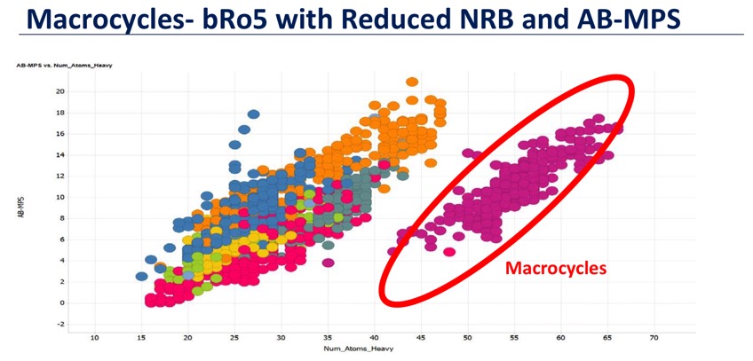 bRo5macrocycles