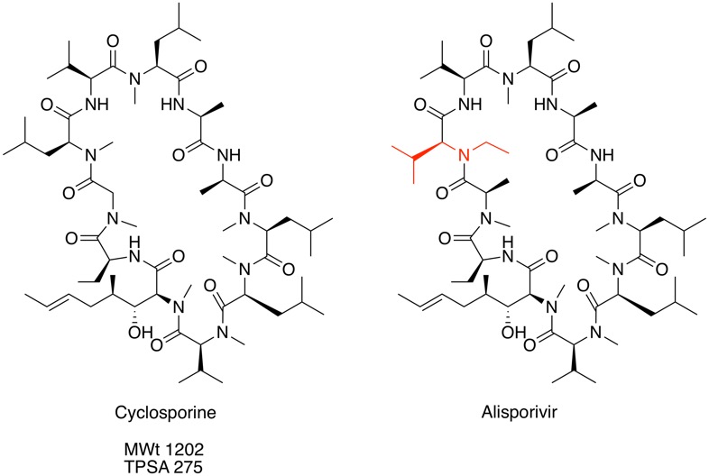 cyclosporin