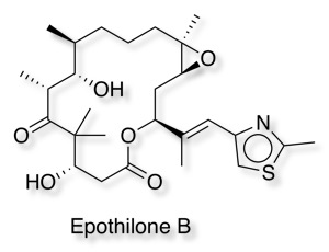 EpothiloneB