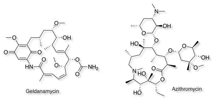 Geldanamycin