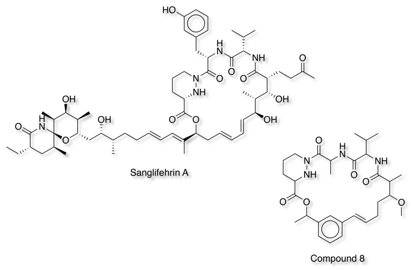 sanglifehrinA