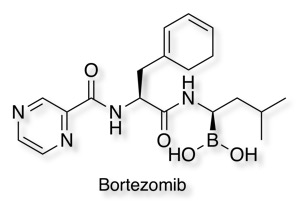 Bortezomib