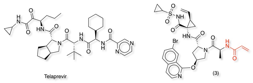 HCVligands