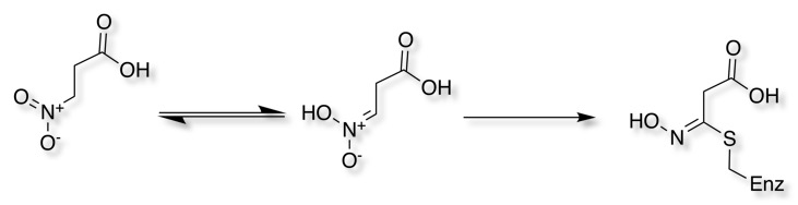 nitroalkane