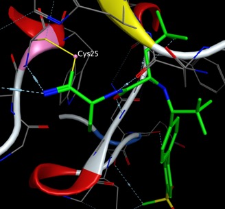 OdanacatibPDB