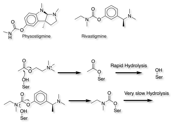 physostigmine