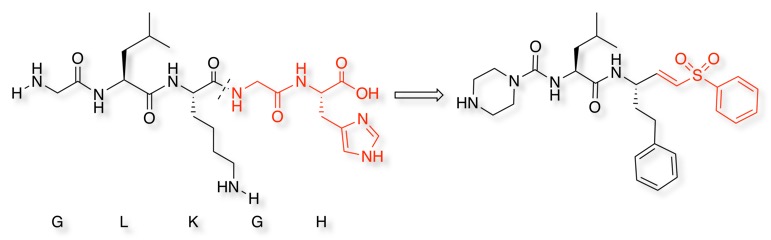 Type1collagen