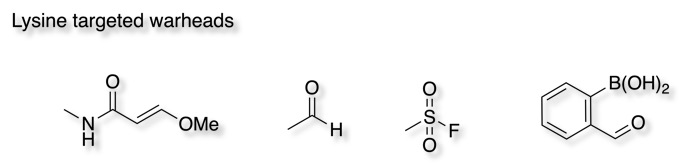 WarheadForLysine