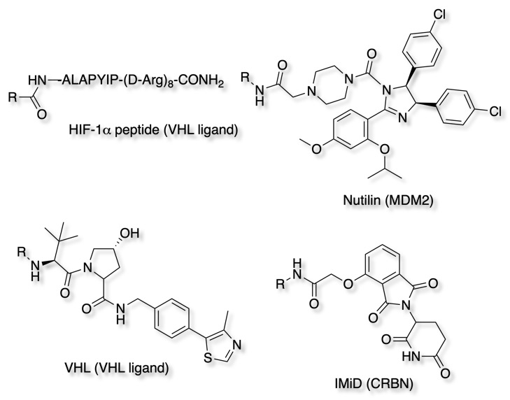 E3ligands