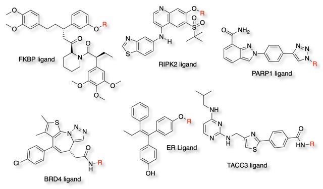 proteinligands