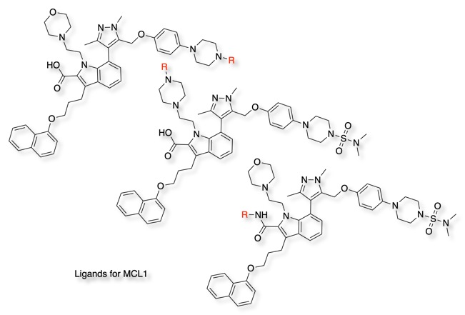 proteinligandsMCL1