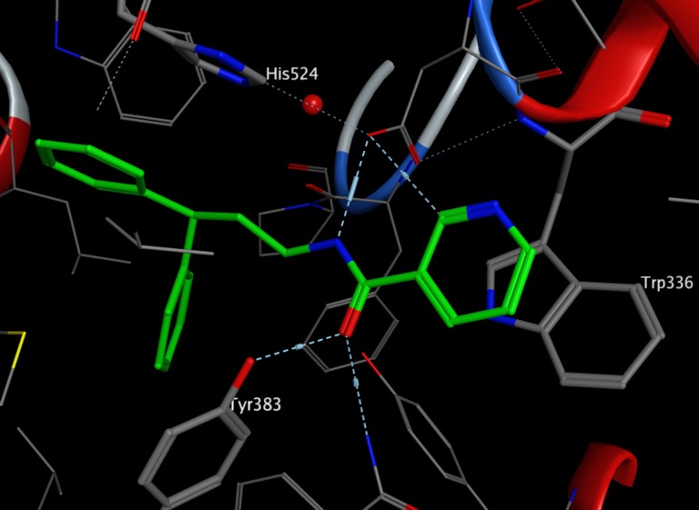 PDB-3I1Y