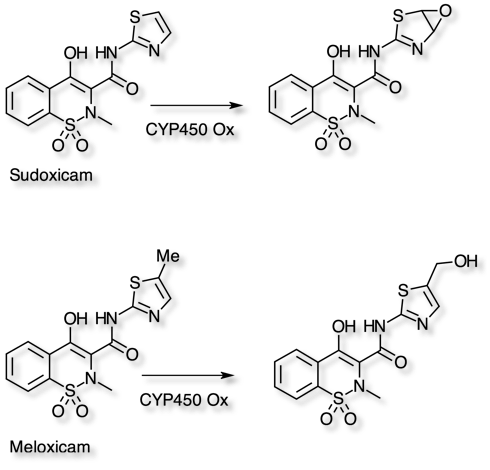 sudoxicam